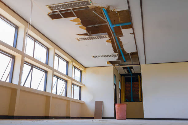 Best Water damage cleanup near me  in Lifornia City, CA