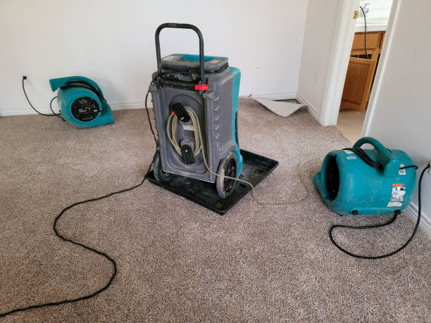 Best Water damage restoration cost  in Lifornia City, CA