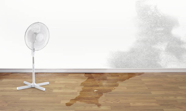 Best Flooded house restoration  in Lifornia City, CA