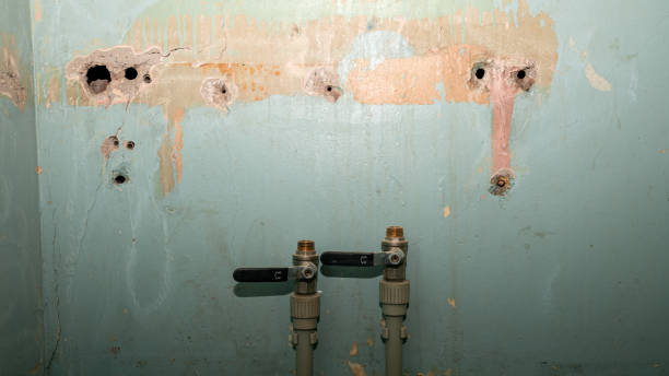 Best Carpet water damage restoration  in Lifornia City, CA