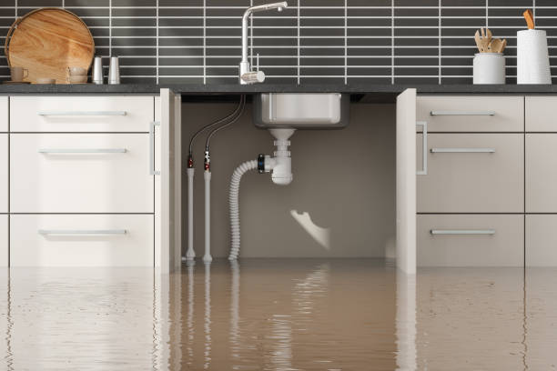 Best Carpet water damage restoration  in Lifornia City, CA