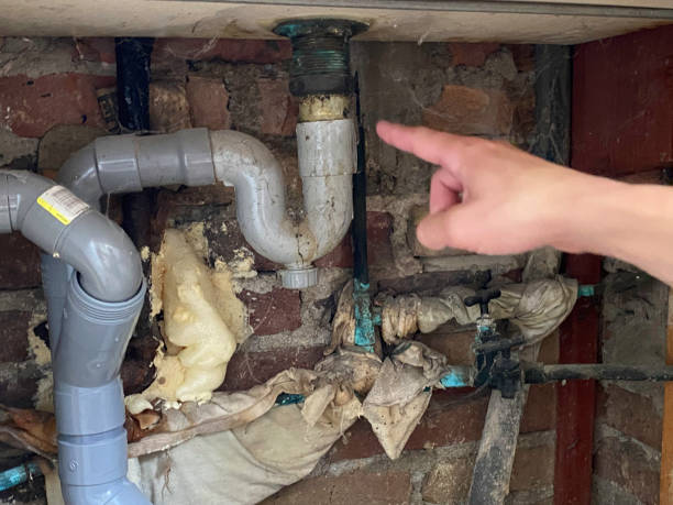 Best Professional water damage repair  in Lifornia City, CA