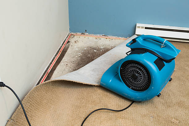Best Flood restoration services  in Lifornia City, CA